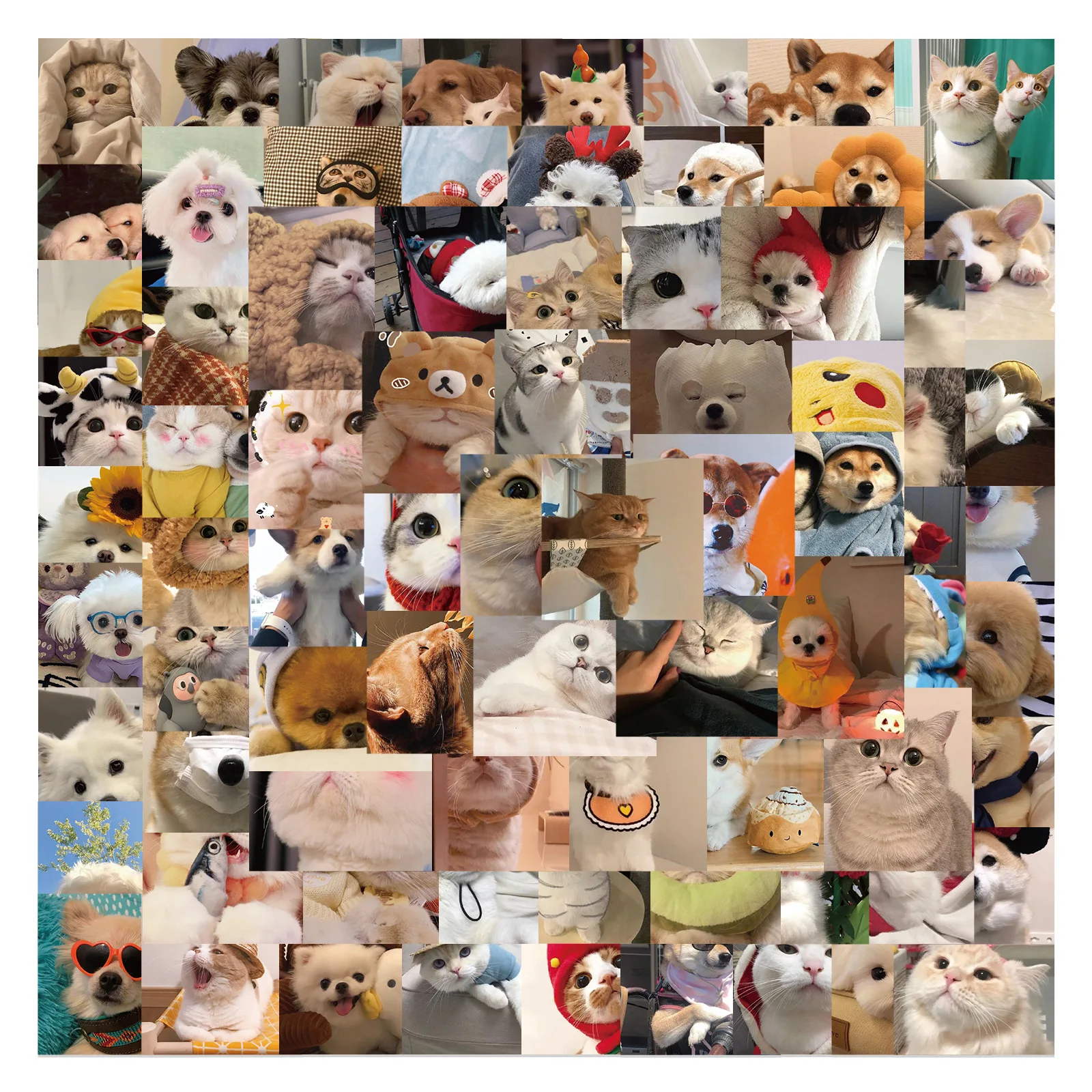 100Pcs Katze und Hund Ausdruck Pack Graffiti Aufkleber Schmücken Koffer Stift Gitarre Notebook DIY Wasserdichte Aufkleber Heißer Verkauf