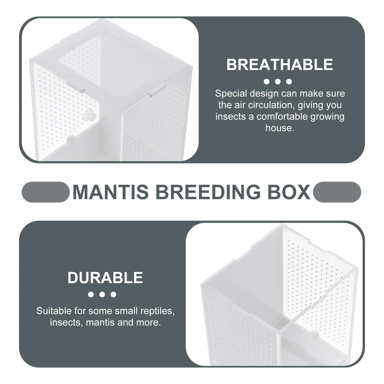 

Mantis Breeding Box Acrylic Insect Feeding Container Excellent Ventilation Escape Prevention For Small Reptiles Observation Case