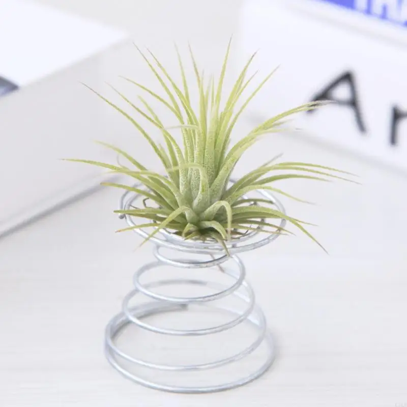 K3KD Air Plant ฤดูใบไม้ผลิลวดโต๊ะ Tillandsia ผู้ถือ Miniature ตกแต่งสวน