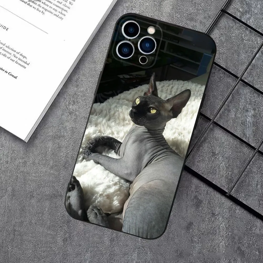 Pet Sphynx Sphinx Cat Phone Case For iPhone 16,15,14,13,12,11 Plus,Pro Max,XS,X,XR,SE,Mini,8,7，Soft Silicone Black Cover