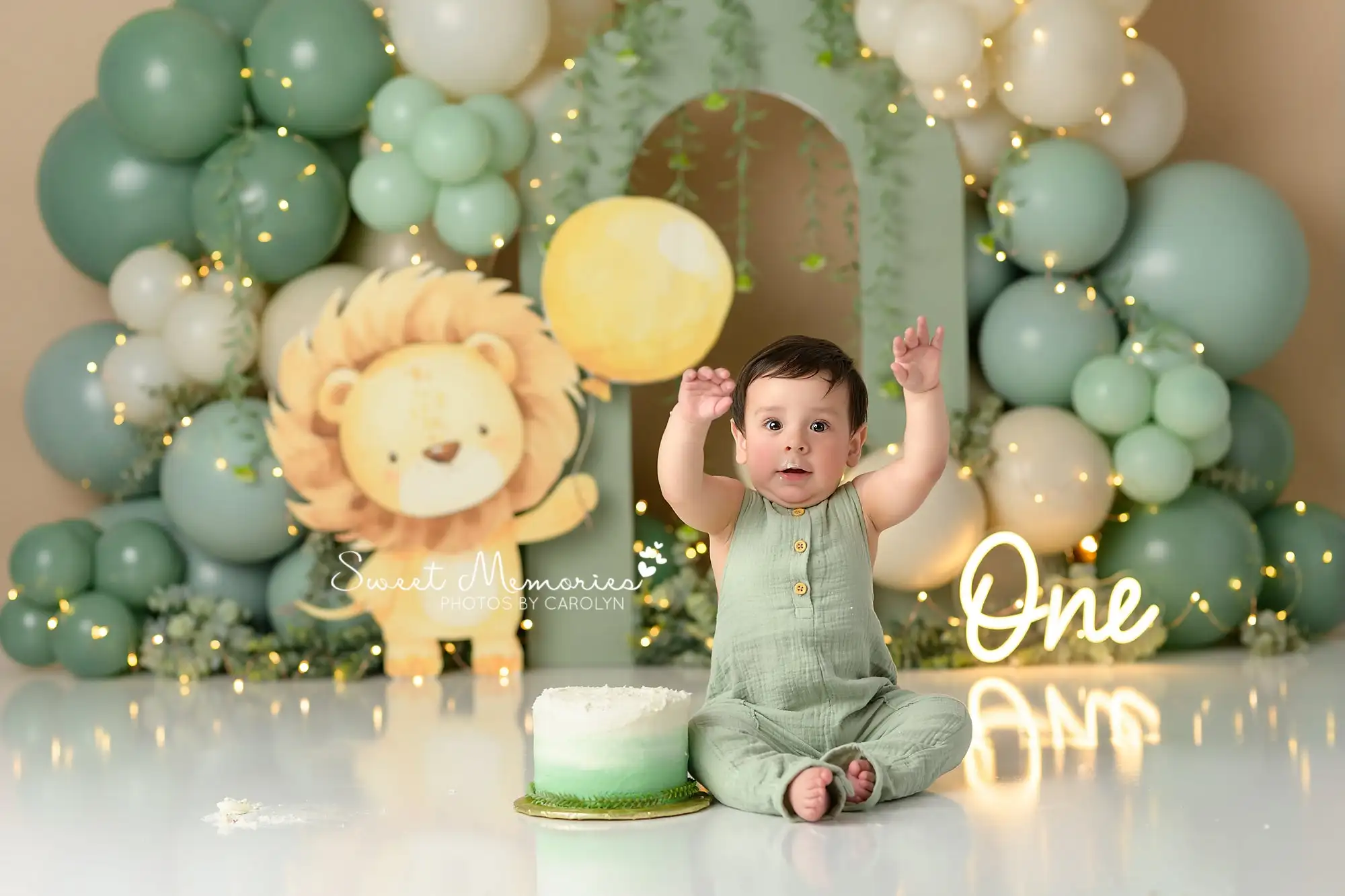 Whimsical Wild One Backdrops Kids Baby Birthday Cake Smash Props Jungle Forest Photography Backgrounds