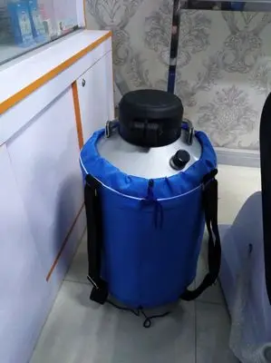 2025 NEW 3L Nitrogen Container Dewar Liquid Nitrogen Tank Nitrogenio Cryogenic Storage Tank With Straps
