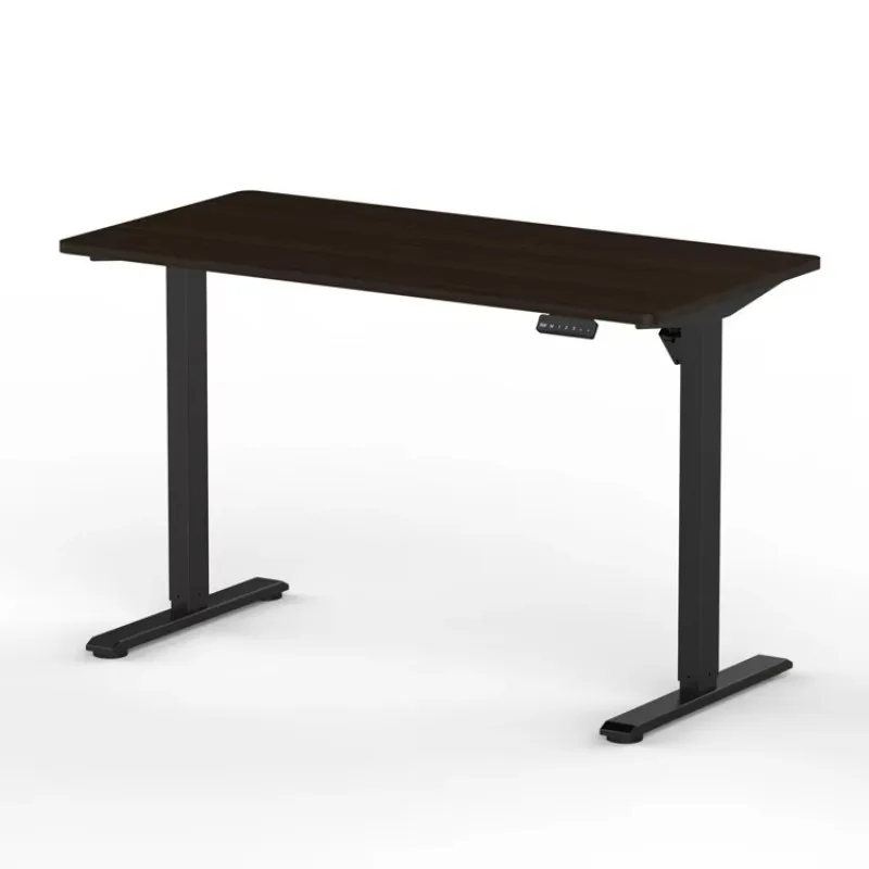 Economic Modern Ergonomic Electric Standing Desk Motorized Height Adjustable Extendable Durable Eco-Friendly 60KG Load Office