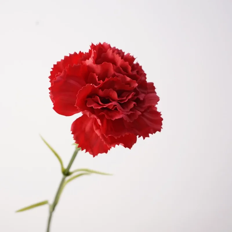 10Pcs/lot Moisturizing Carnations Real Touch Artificial Flowers Mother's Day Bouquet Wedding Decor Home Party Room Customized