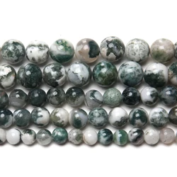 Natural Stone Tree Agate Round Loose Beads 15