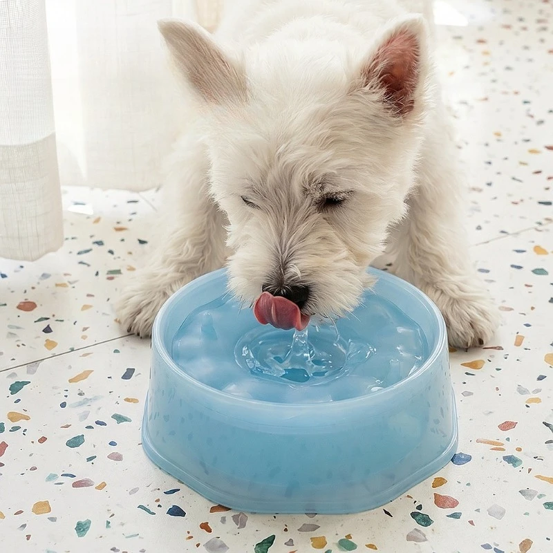 Pet Automatic Feeder Cat Water Dispenser Dog Drinking Bowl Non-Wet Mouth 2 In 1 Pet Food Water Feeder Dish For Small Medium Pets