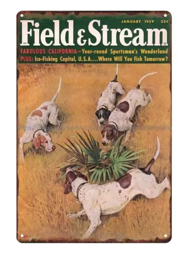 Field & Stream 1959 hunting dog pointer metal tin sign shop wall art