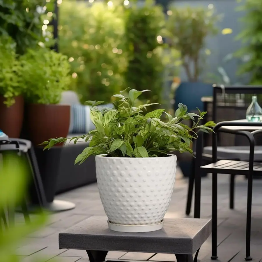 Epjardening vaso de plantas de 8 espaços para plantas internas e externas vaso redondo de cerâmica com furo de drenagem e pires moderno grande fluxo