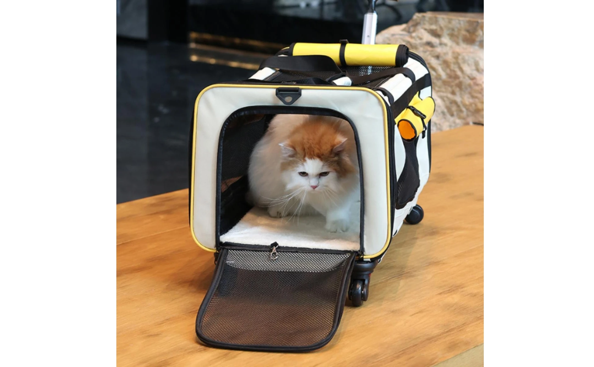 Collapsible Pet Trolley Carrier Zipper Openings Soft-Sided Pet Trolley Top Carry Handles Breathable