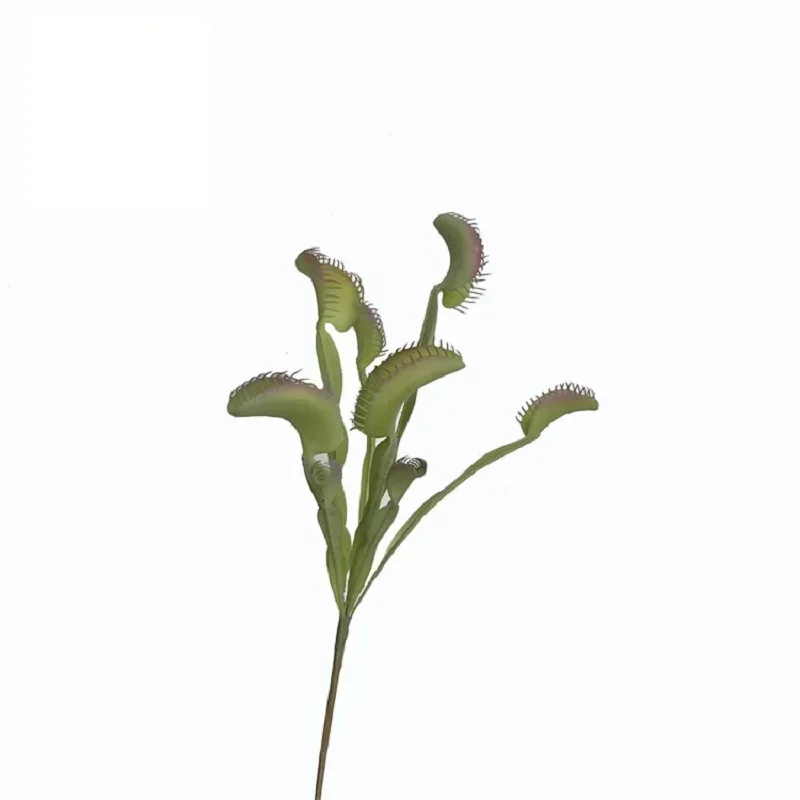 Simulation Man-eating Flowers Plastic Green Plants Wedding Decoration Artificial Venus Flytrap Tropical Rainforest Grass Plant