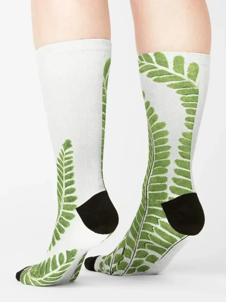 Fantastic Fern Fronds Socks gift FASHION football Children's Male Socks Women's