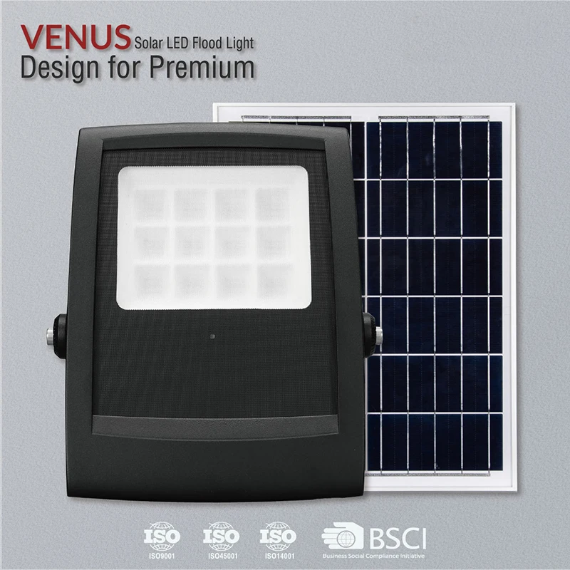 LifePO4 100W Solar LED Flood Light Outdoor Black Housing with Remote Control Aluminum Lamp Body Rohs Certified