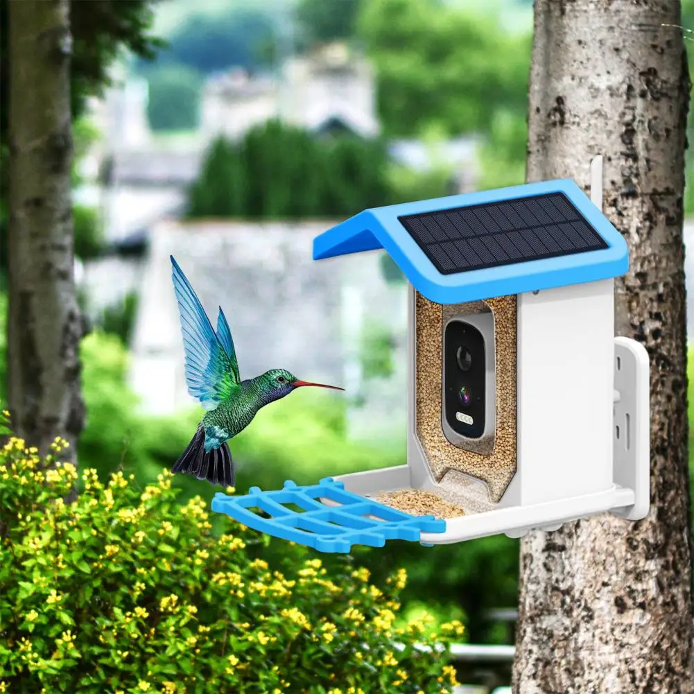 Bird Smart Feeder With Camera Solar Low Power Night Vision Wireless Outdoor Bird Feederor WIFI Connect Real Bird Species Feeder