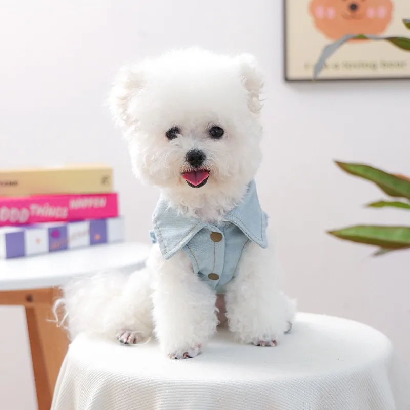 Pet Denim Vest with Sparkly Star Rhinestone and Tassel Harness-Compatible Jacket for Small Dogs and Cats Perfect for Daily Walks
