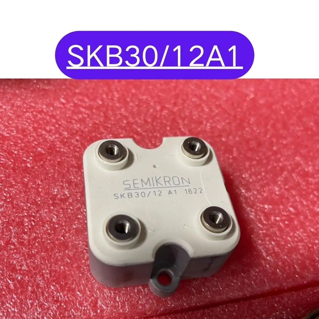 Brand New SKB30/12A1 module Fast Shipping