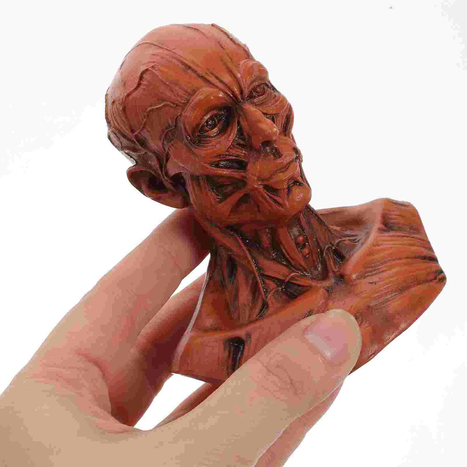 Sketch Statue Desktop Head Anatomy Artist Drawing Model Painting Skull Decor Models Sculpture Muscle Table Resin