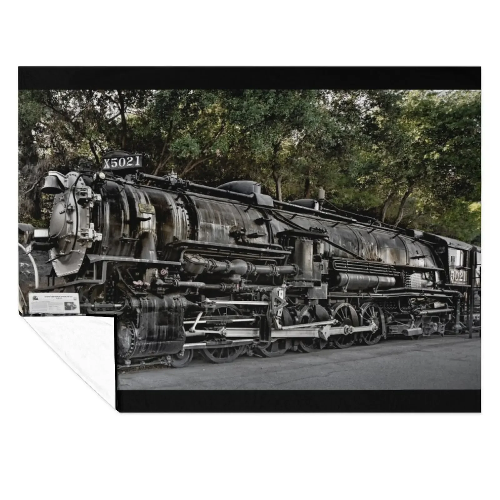 

Southern Pacific Steam Locomotive No. 5021 - Rail Giants Train Museum, Pomona, CA, USA Throw Blanket for sofa Blankets