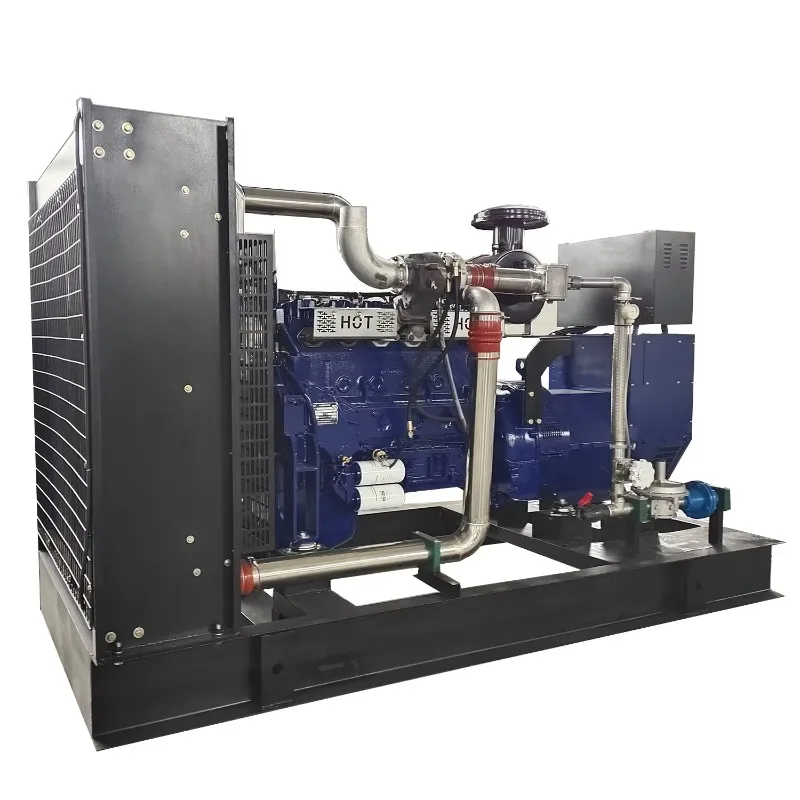 200kW Natural Gas Generator 200kW Biogas Generator 250kVA Gas Generator Price Customized