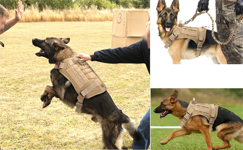 Taktische Militärweste für Haustiere, Outdoor-Trainingsweste, Hundegeschirr und Leine, Set mit Halsband für mittelgroße und große Hunde, Deutscher Schäferhund – Detail 6