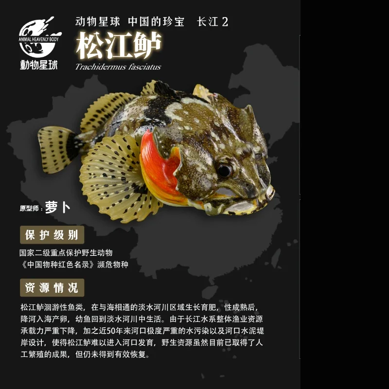 New China Treasures Gashapon Toy Series Yangtze River Rare Animal 2 Bombs Spotted Turtle Sturgeon Porpoise GK Model Kids Gifts