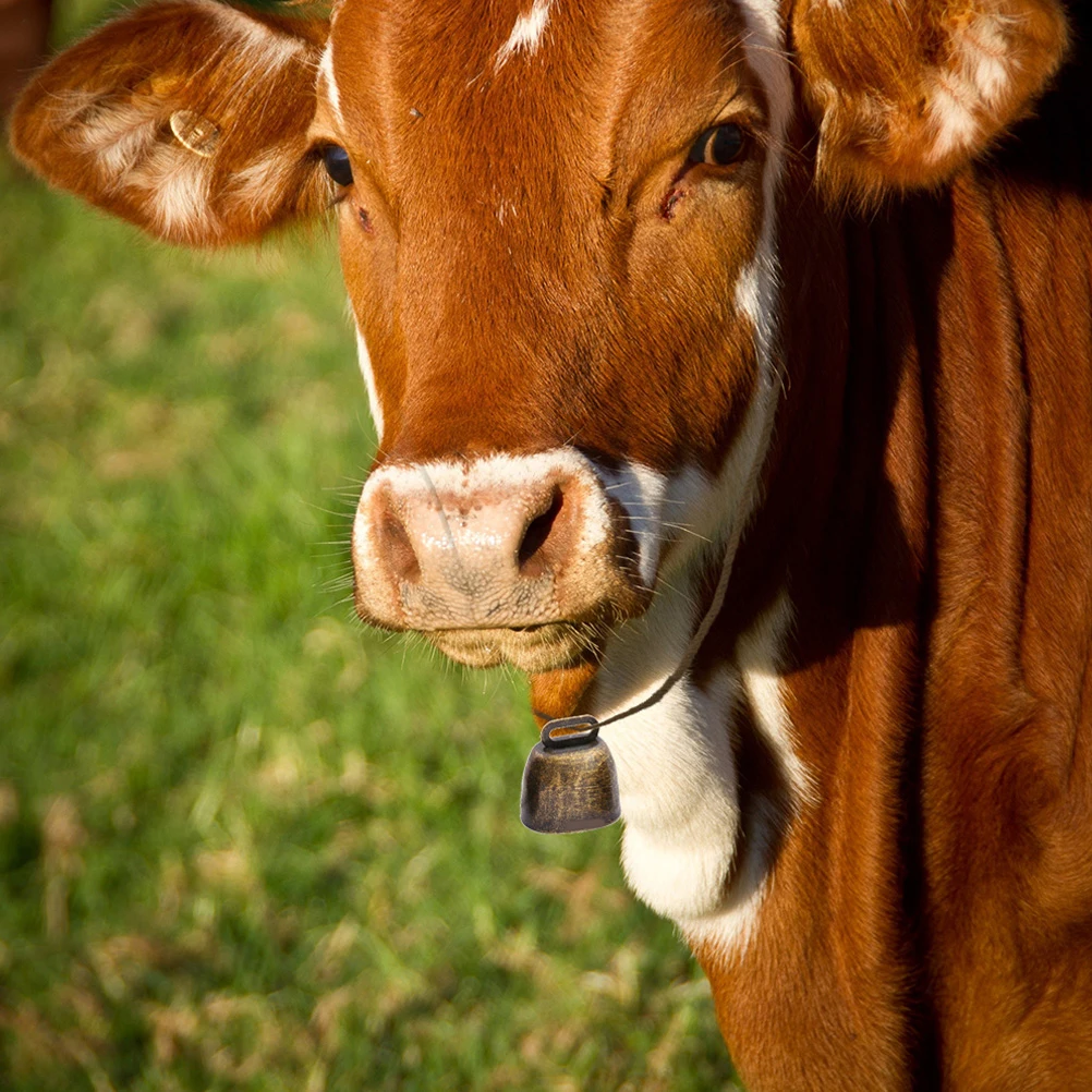 

Vintage Bell Cow Metal Cattle Bells Loud Jesus Anti-lost Hanging Iron Cowbell Small Cowbells Animal Ringing