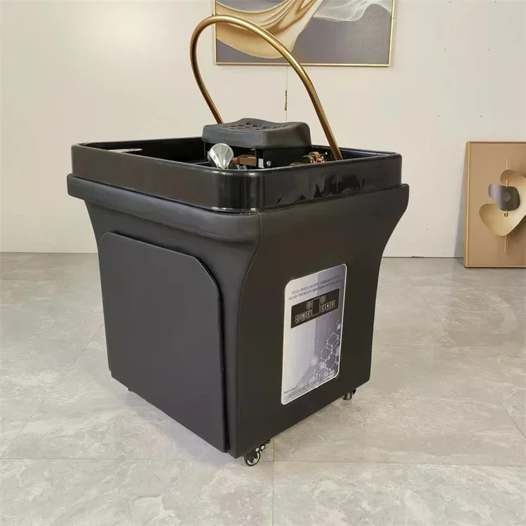 Hot SalesFactory Direct Portable Mobile Shampoo Sink Bowl With Head Treatment Water Circulation Rod And Fumigation