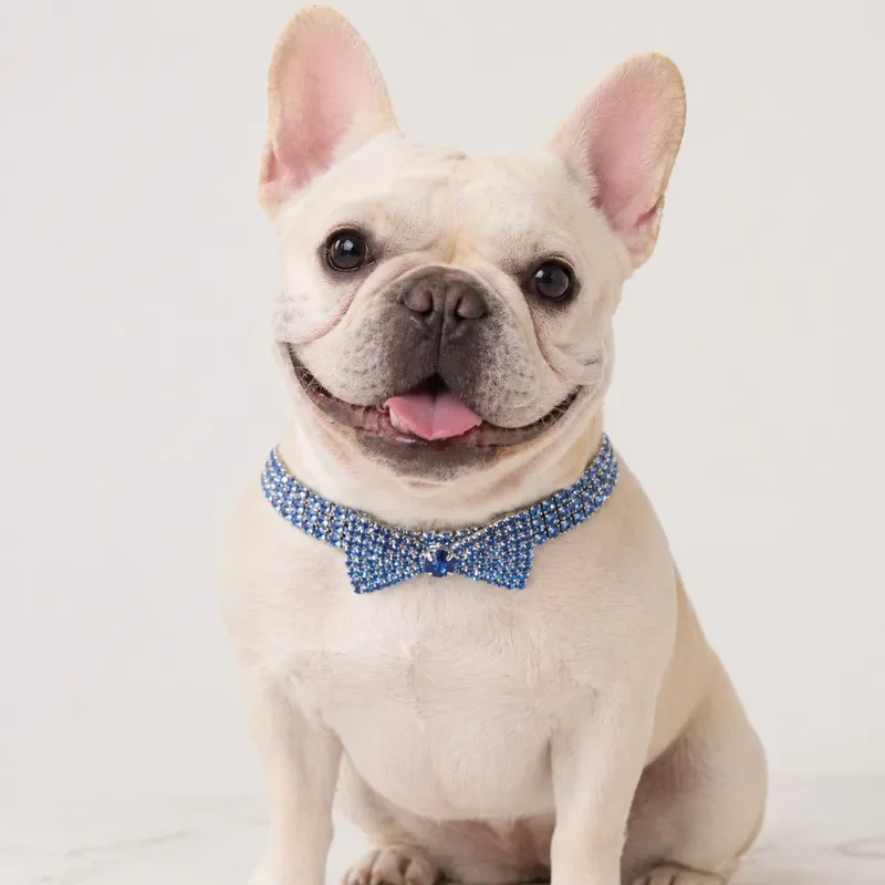 Foreign trade explosion Amazon pet full diamond collar cat dog gem necklace cross-border e-commerce pet necklace wholesale