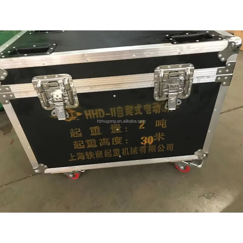 Mini Rigging Controller Professional Electric Hoist Chain Block Stage Hoist Crane
