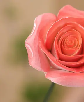 12 best sales Ceramic flowers - №8