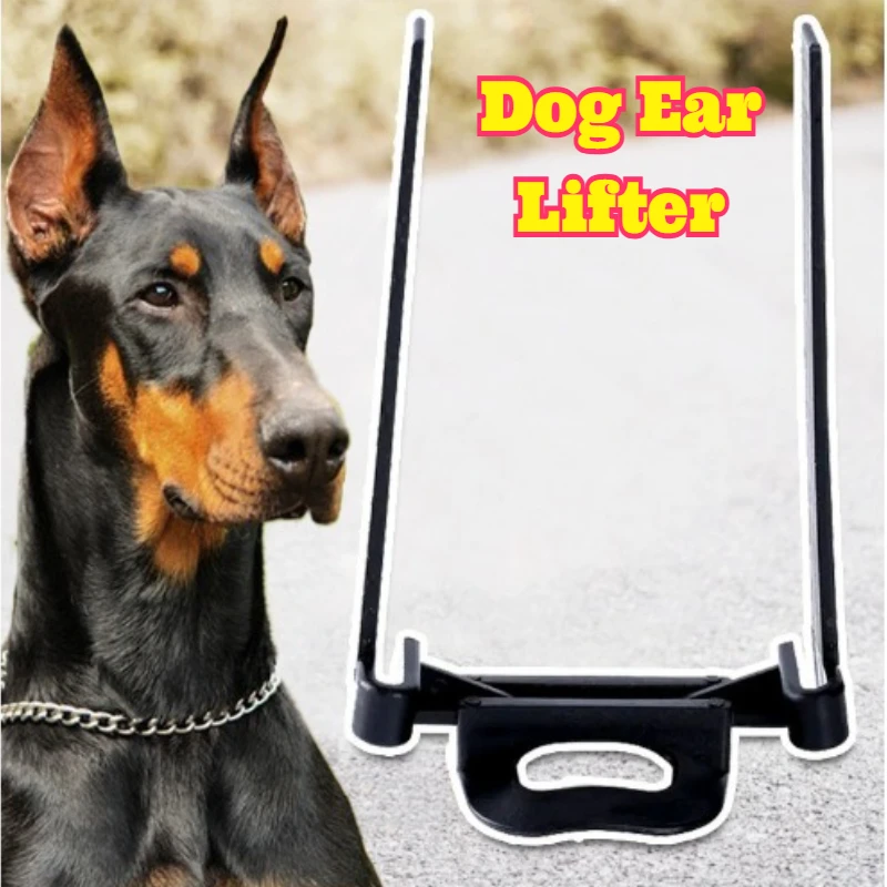

Dog Ear Support Brace Guide Canine Ears Correction Trainer German Shepherd Husky Corgi Doberman Training Aid Sticky Tape Pet