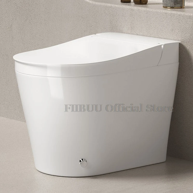 Household Bidet Toilet Without Water Pressure Limit For Bathrooms Built In Water Tank One Piece Integrated Toilet Dual Flush