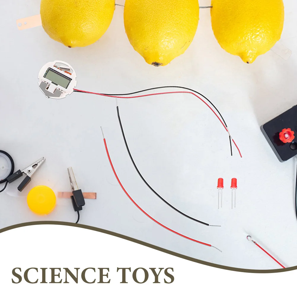 

2 Sets Fruit Experiment Kit Batteries Diy Science Kits Suite Clock Making Metal Experimental Student Physics Education