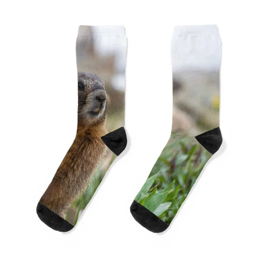 

Standing Marmot 3 Socks cool sport Children's sheer Men Socks Women's