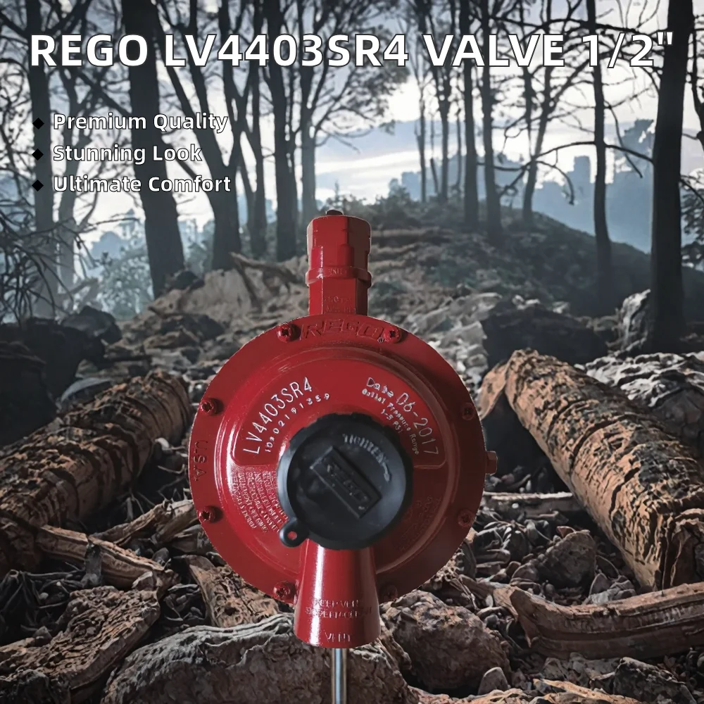 REGO LV4403SR4 57kg/h LPG Pneumatic High Pressure Primary Regulator 1/2 Inch Cylinder Tube Pressure Reducing Valve OEM for Gas