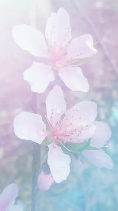 

ARRMA 1/8 EXB 50T Center Differential Upgrade Part ARA310991 | High Performance Metal Diff for Kraton, Mojave, Big Rock RC Cars