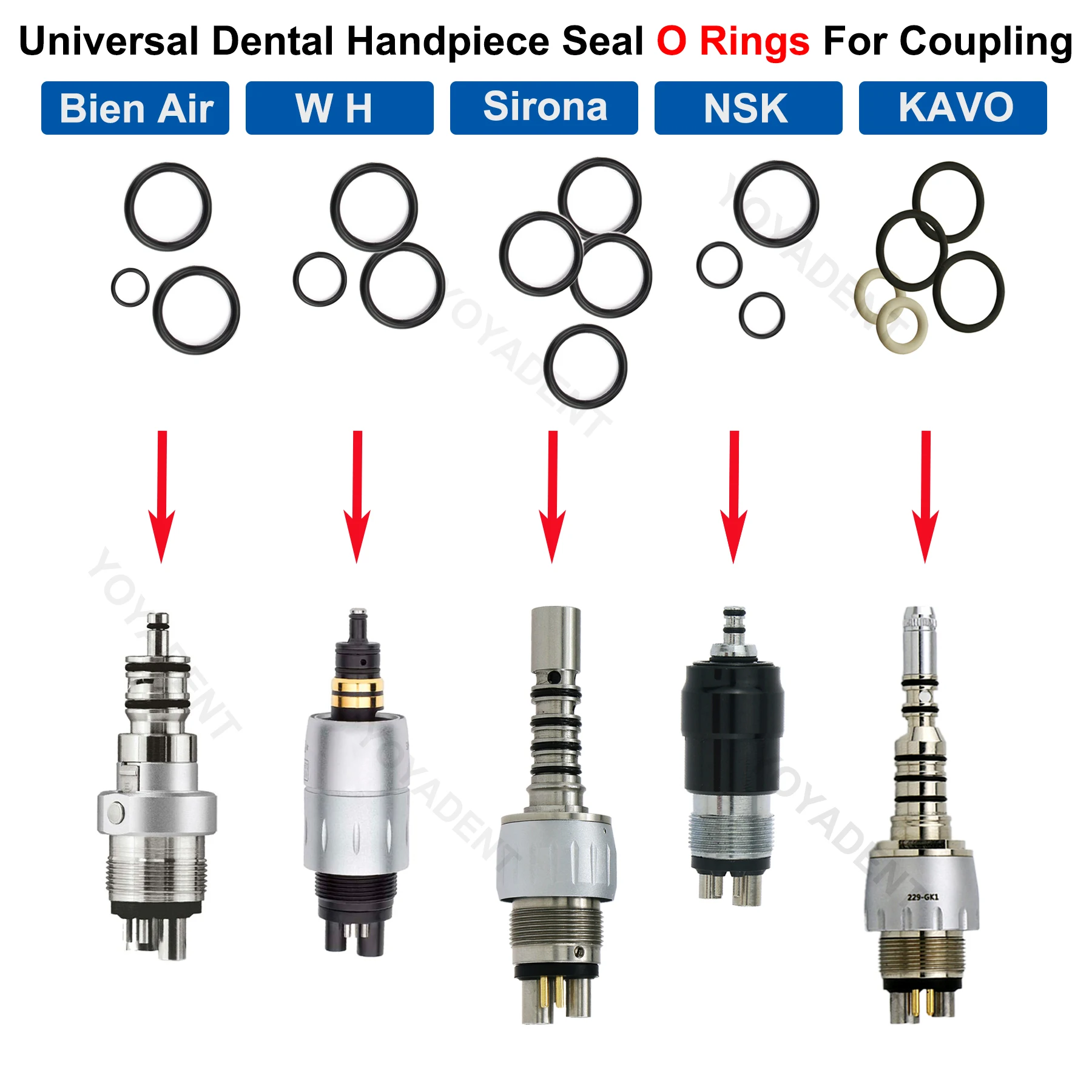 Dental Handpiece Coupler Seal O Rings For Kavo Multiflex NSK WH SIRONA Bein-Air Coupling Anti-Oil Dental Handpiece Accessories