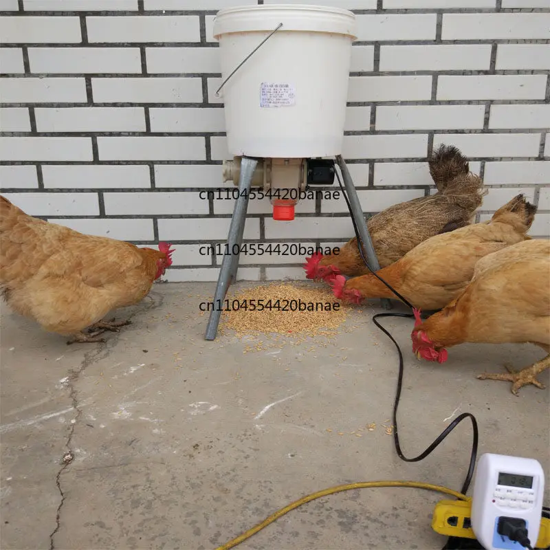 Automatic feeder carrier pigeon feeding trough intelligent timing chicken feeding automatic feeder chicken feeding artifact