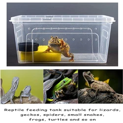 Reptile Feeding Box Animal Habitat Cage Reptile Carrier Transparent Turtle Tank Snake Breeding Box for Terrapin Tortoise