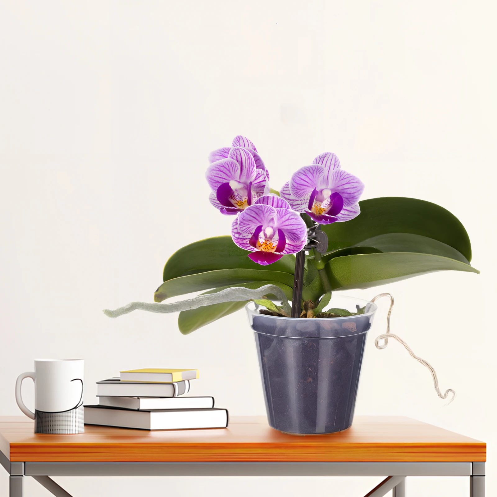 

10Pcs Clear Orchid Pots Transparent Plastic Plant Pots with Drainage Holes Versatile Use for Indoor and Outdoor Settings