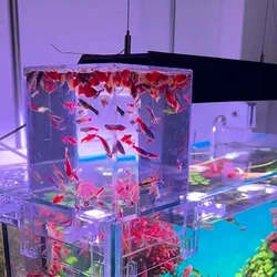 Transparent Acrylic Negative Pressure Fish Tank Practical Fish Tank Ecological Landscaping Decor For Office