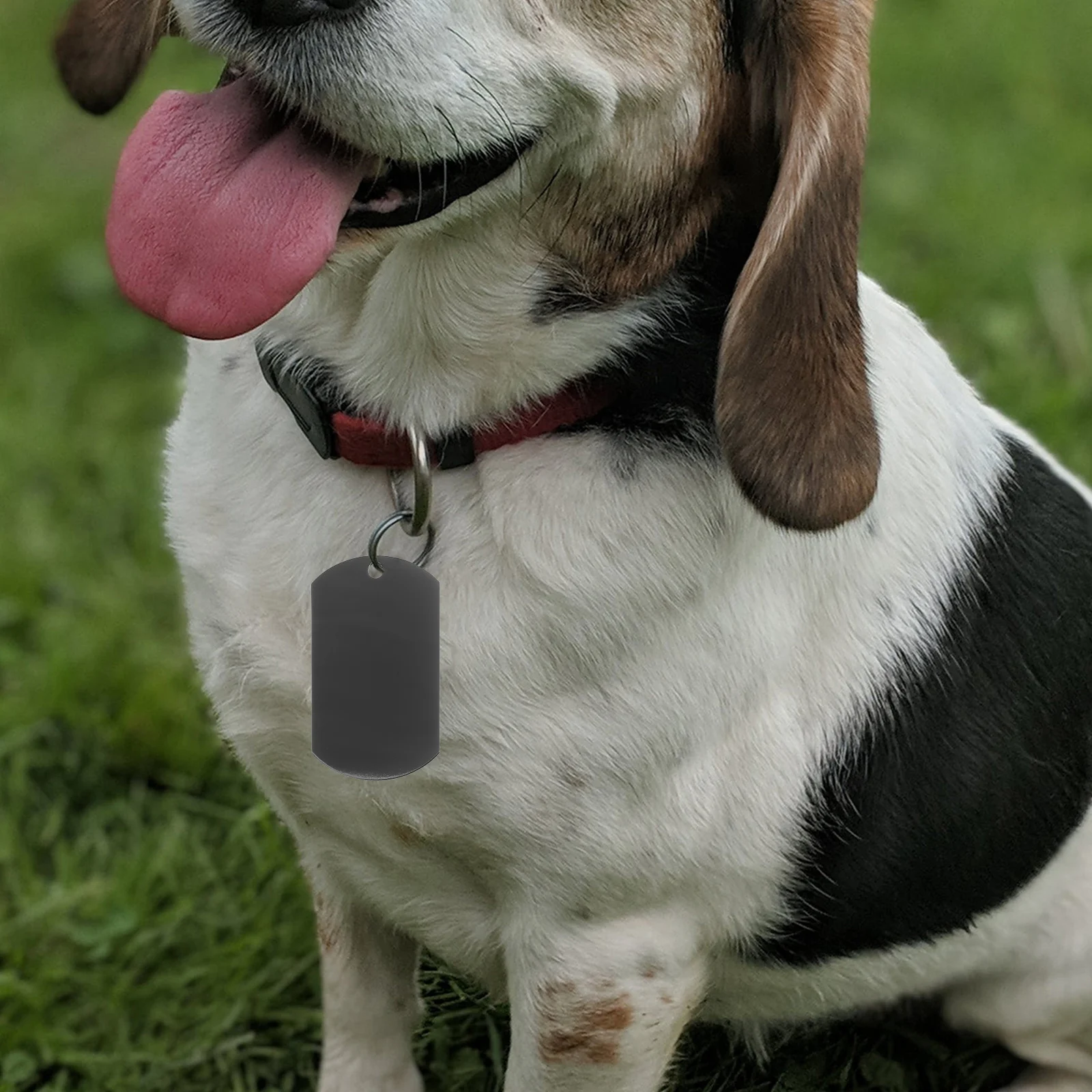

2pcs Stainless Steel Dog Tags For Dogs Blank Metal Engraved Pet Tags Puppy Name Tag Anti-Lost Id Keychain For Small Large Dogs