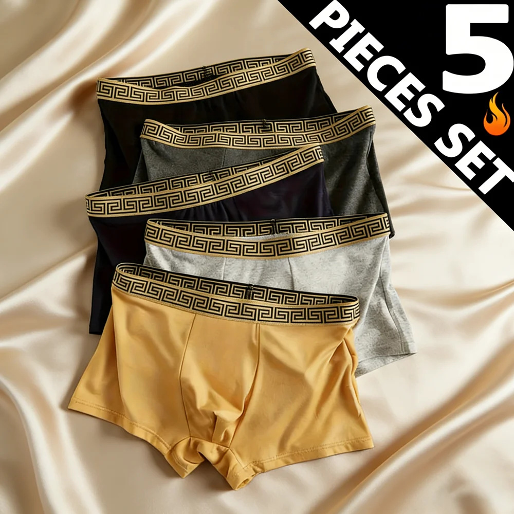 

5-Pack Men's Great Wall Pattern Boxer Briefs Soft Comfortable Stretchy Casual Mens Underwear for Daily Wear ﻿