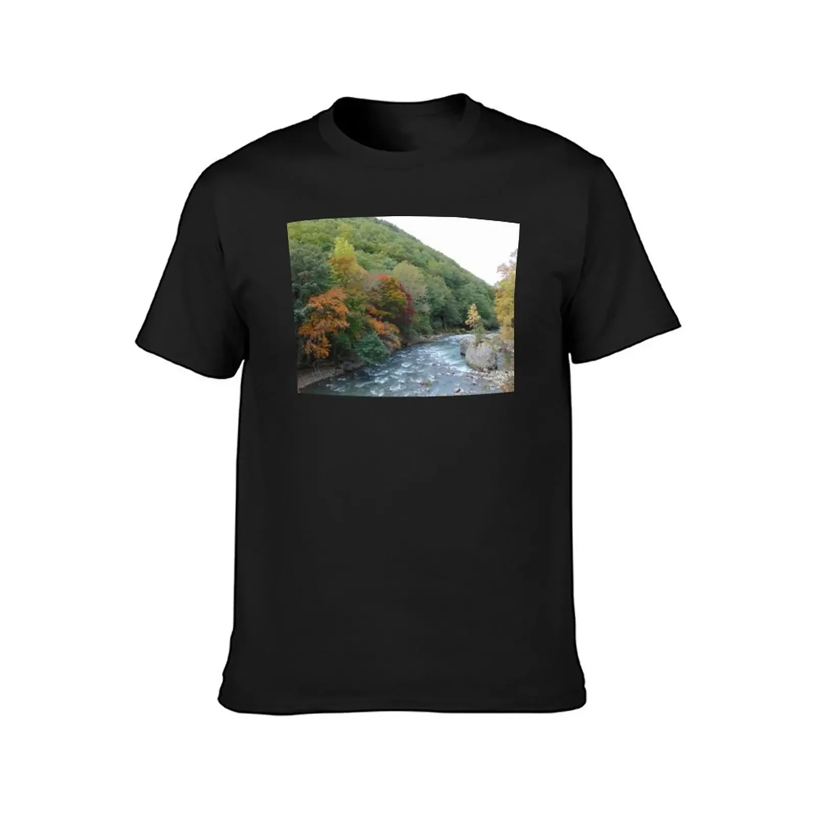 An Autumnal Sounkyo Gorge, Hokkaido 3 T-Shirt sweat Short sleeve tee summer clothes shirts graphic tees mens t shirt