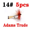 Adams intruder
