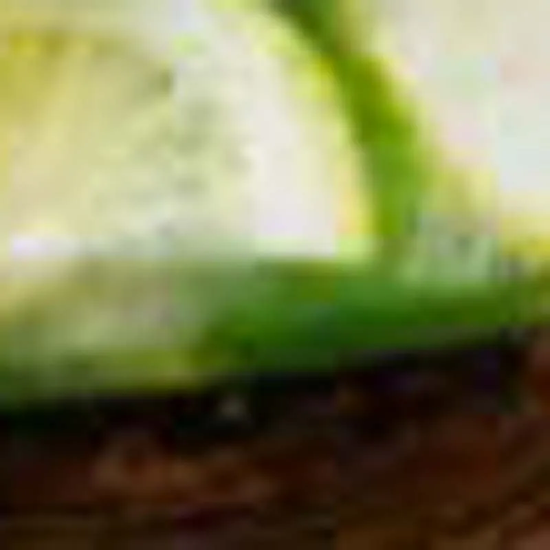 

Новая коммерческая автоматическая машина для приготовления фруктовых мороженых и итальянских эскимо ручной работы