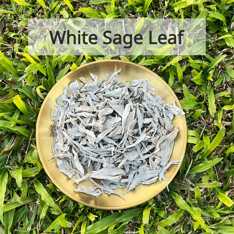 White Sage Leaves, Aromatherapy Cleansing, Burning Cleansing, Yoga Meditation And Smearing White Sage Leaves