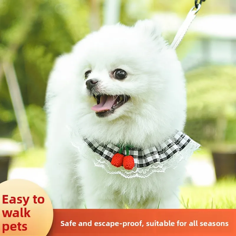 Hondenriem, borstband, kattenvest