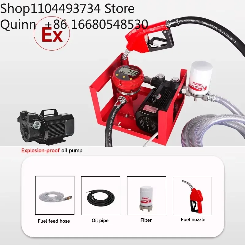 GDOGM Preset Elliptical Gear 12V 24V 110V 220V Flowmeter Fuel Pump 550W High Precision ± 1% Portable  Pump Kit L/GAL