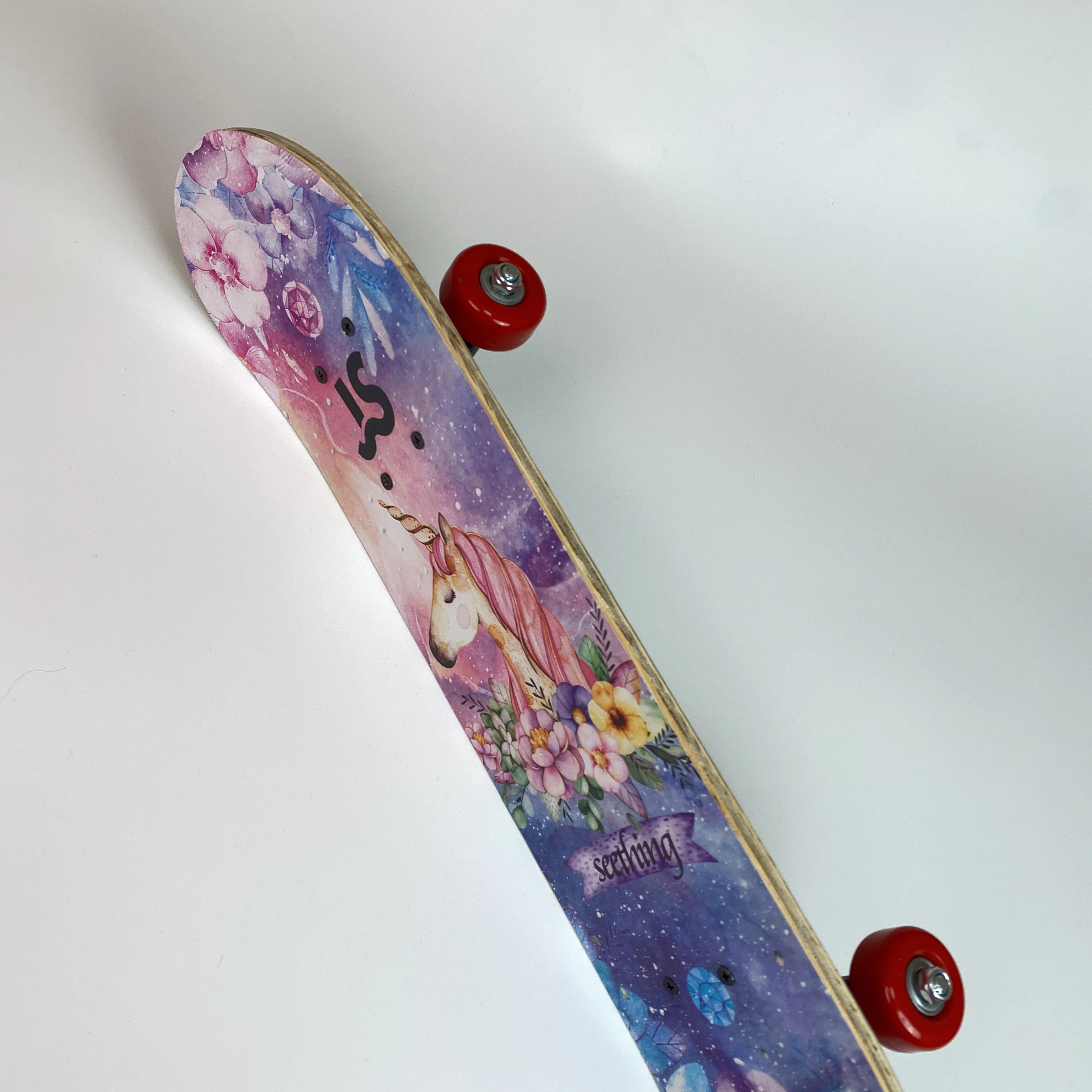 JS Skateboards for Teens, Adults and Kids - 31 inch Complete Skateboard for Beginners