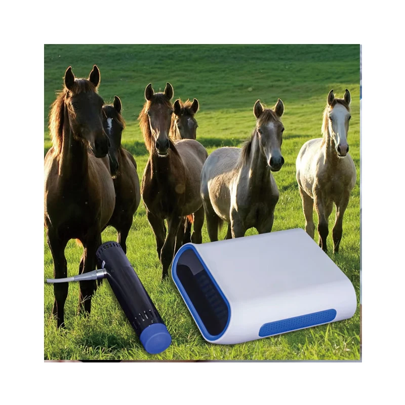 Animal Therapy Tace Horse Wound Healing Veterinary Use Radail Shock Wave For Horse Equine Treatment